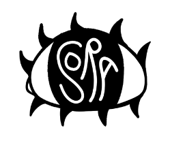 The Strother School of Radical attention logo: an eye with SORA written in place of the pupil, for "School of Radical Attention"